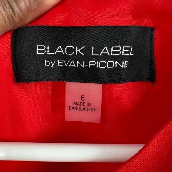 Evan Picone black label orange dress sleeveless black waist size 6 - Picture 3 of 7